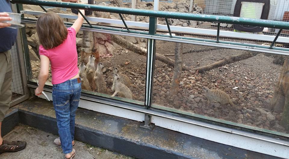 Biggest pet shop in the world